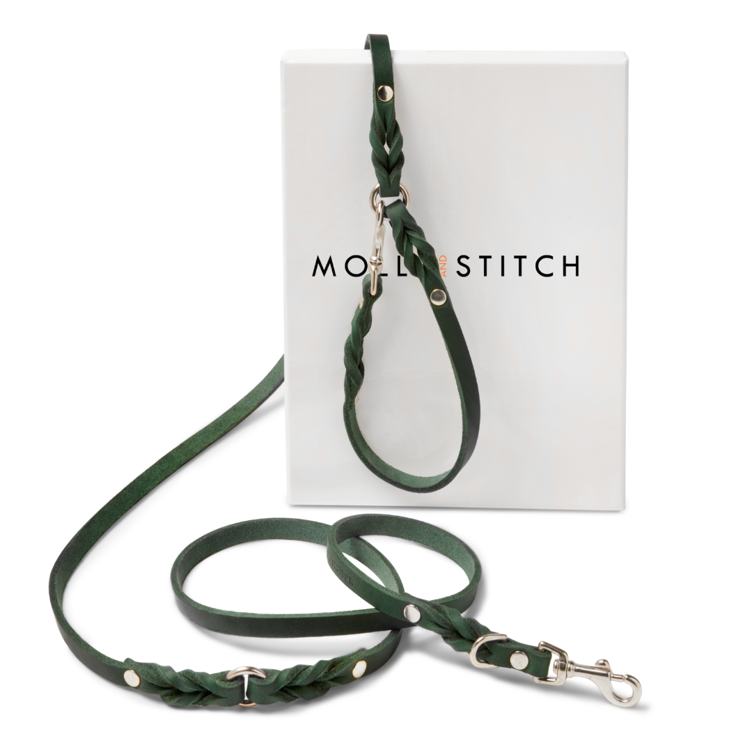 Butter Leather 3x Adjustable Dog Leash - Forest Green by Molly And Stitch US