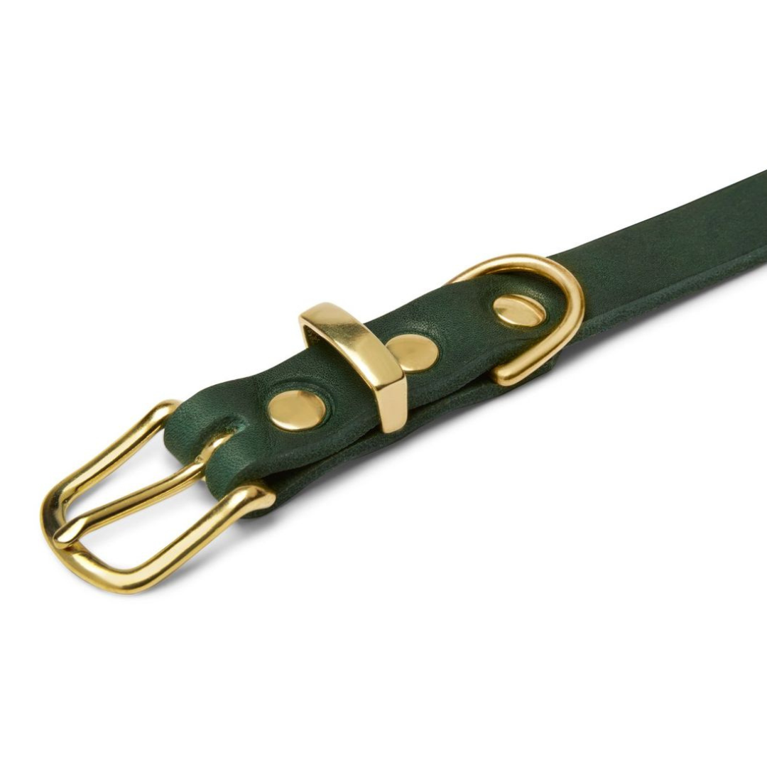 Butter Leather Dog Collar - Forest Green by Molly And Stitch US