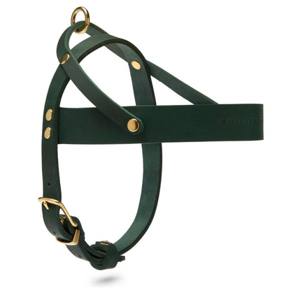 Butter Leather Dog Harness - Forest Green by Molly And Stitch US