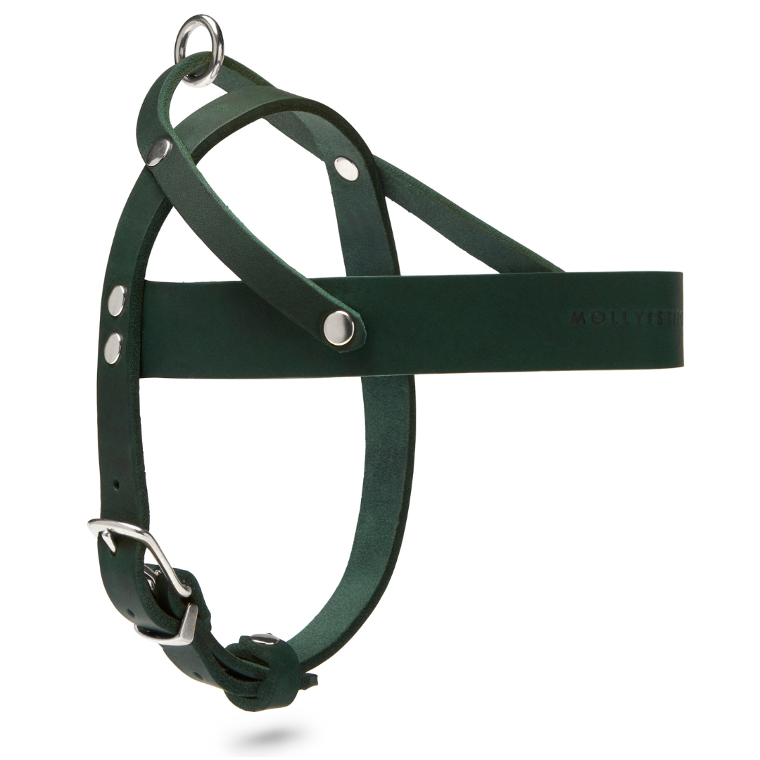 Butter Leather Dog Harness - Forest Green by Molly And Stitch US