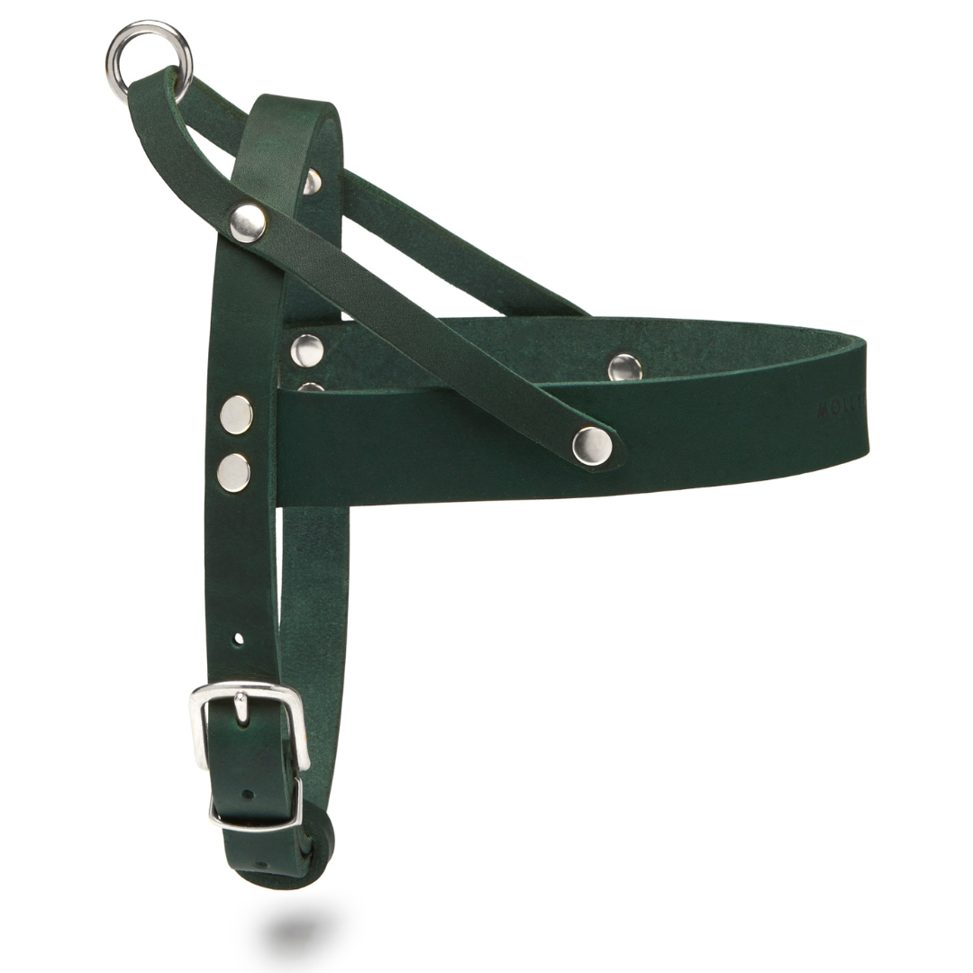 Butter Leather Dog Harness - Forest Green by Molly And Stitch US
