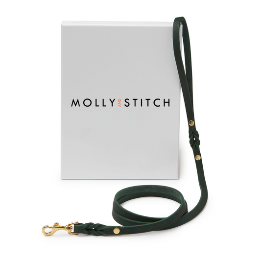 Butter Leather City Dog Leash - Forest Green by Molly And Stitch US