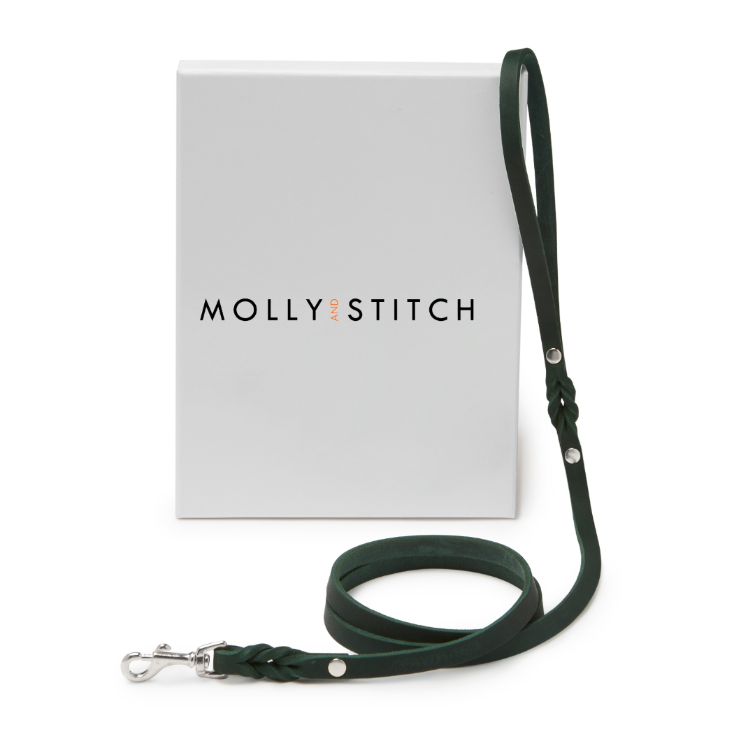 Butter Leather City Dog Leash - Forest Green by Molly And Stitch US