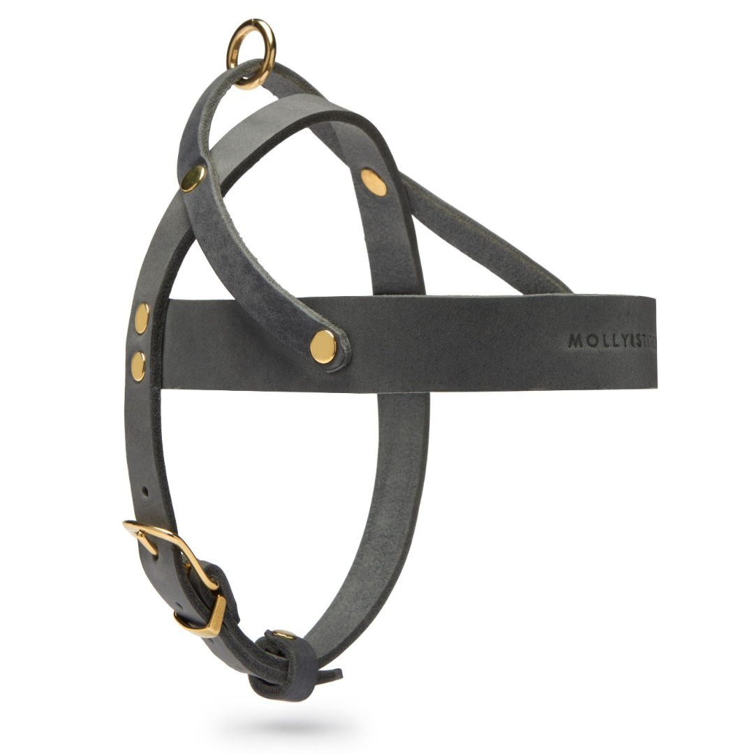 Butter Leather Dog Harness - Timeless Grey by Molly And Stitch US