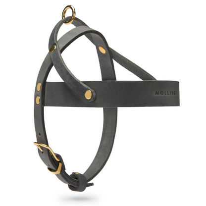 Butter Leather Dog Harness - Timeless Grey by Molly And Stitch US