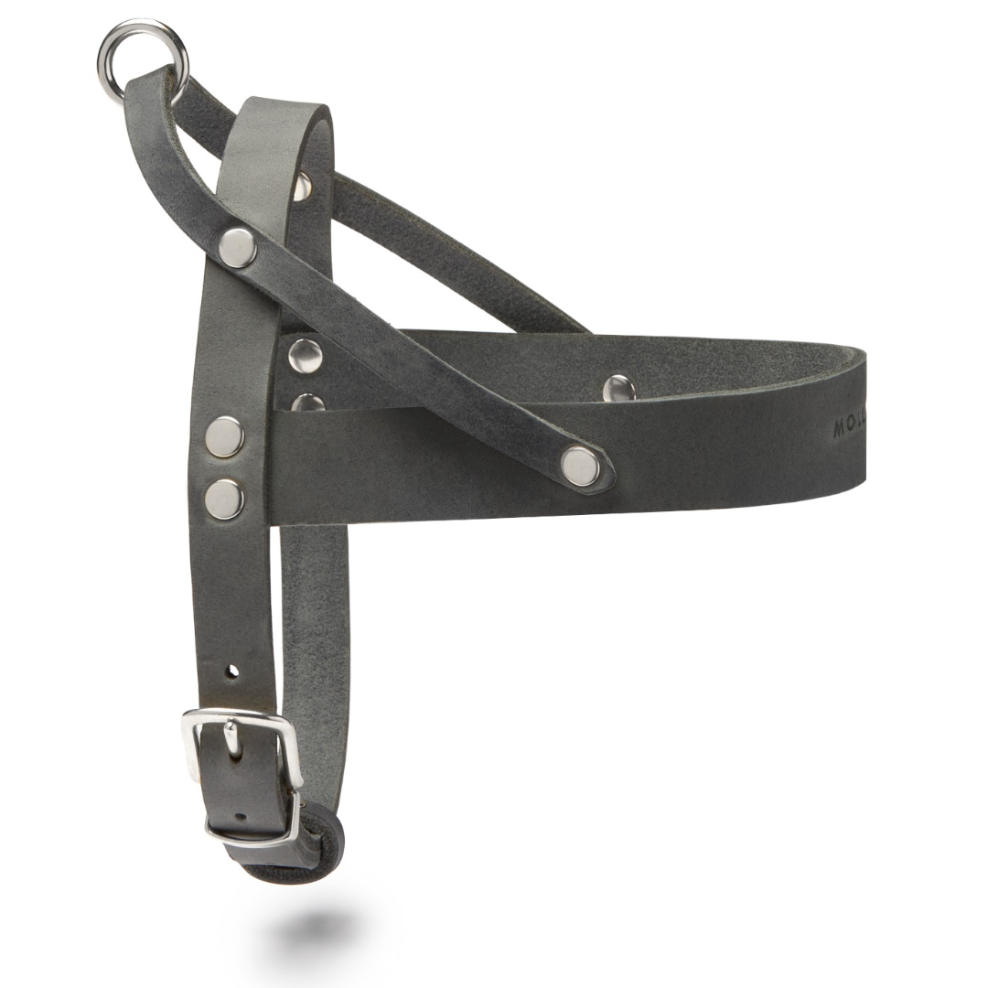 Butter Leather Dog Harness - Timeless Grey by Molly And Stitch US