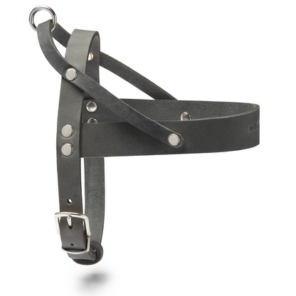 Butter Leather Dog Harness - Timeless Grey by Molly And Stitch US