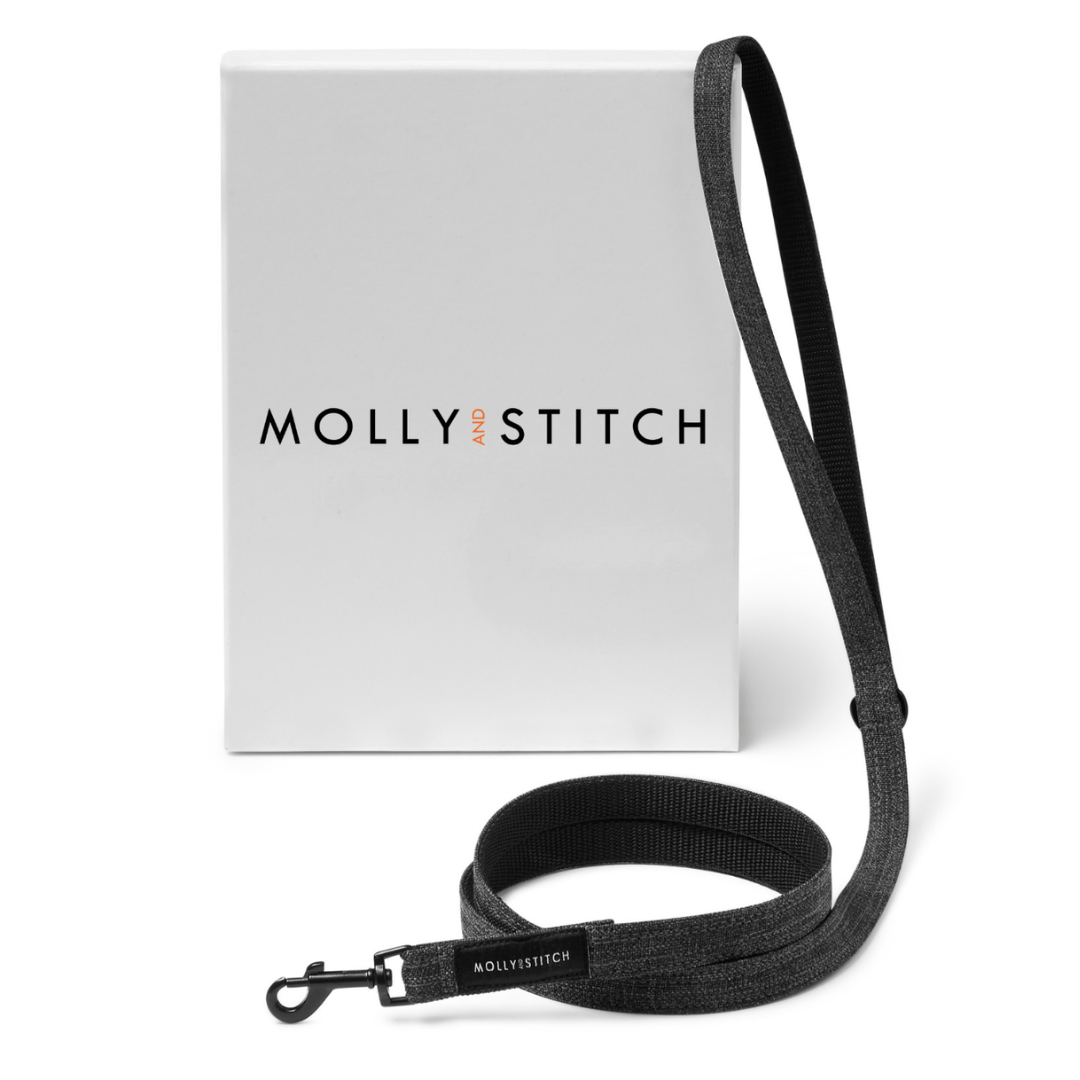 Soft Rock City Leash - Grey by Molly And Stitch US