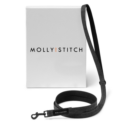 Soft Rock City Leash - Grey by Molly And Stitch US