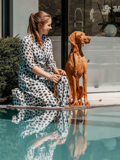 Butter Leather Retriever Dog Collar - Sahara Cognac by Molly And Stitch US