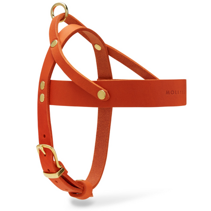 Butter Leather Dog Harness - Mango by Molly And Stitch US