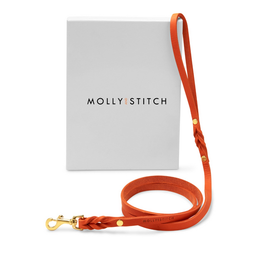 Butter Leather City Dog Leash - Mango by Molly And Stitch US