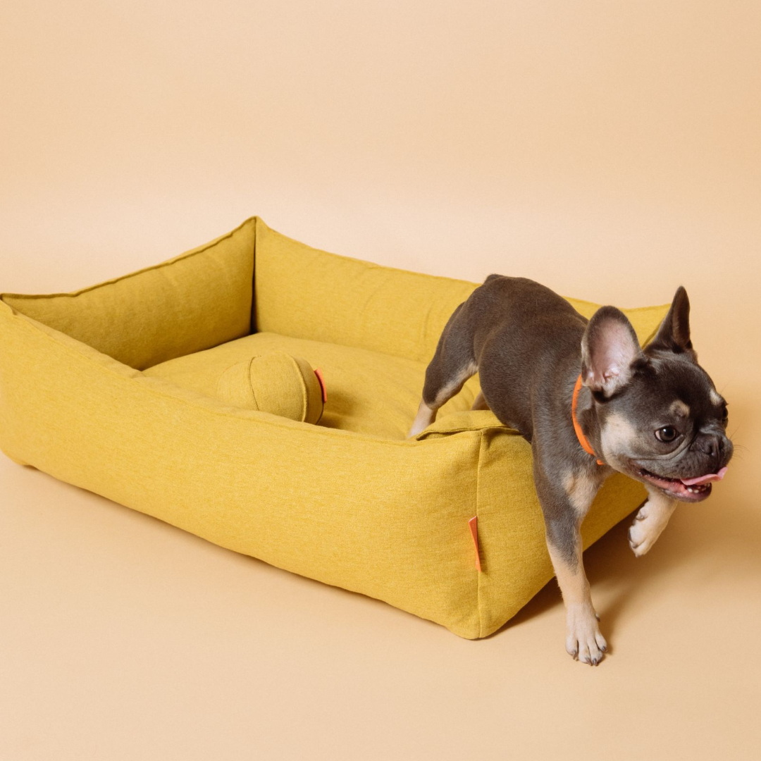 Alpine Dog Bed - Mustard by Molly And Stitch US