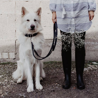Butter Leather Dog Collar - Navy Blue by Molly And Stitch US