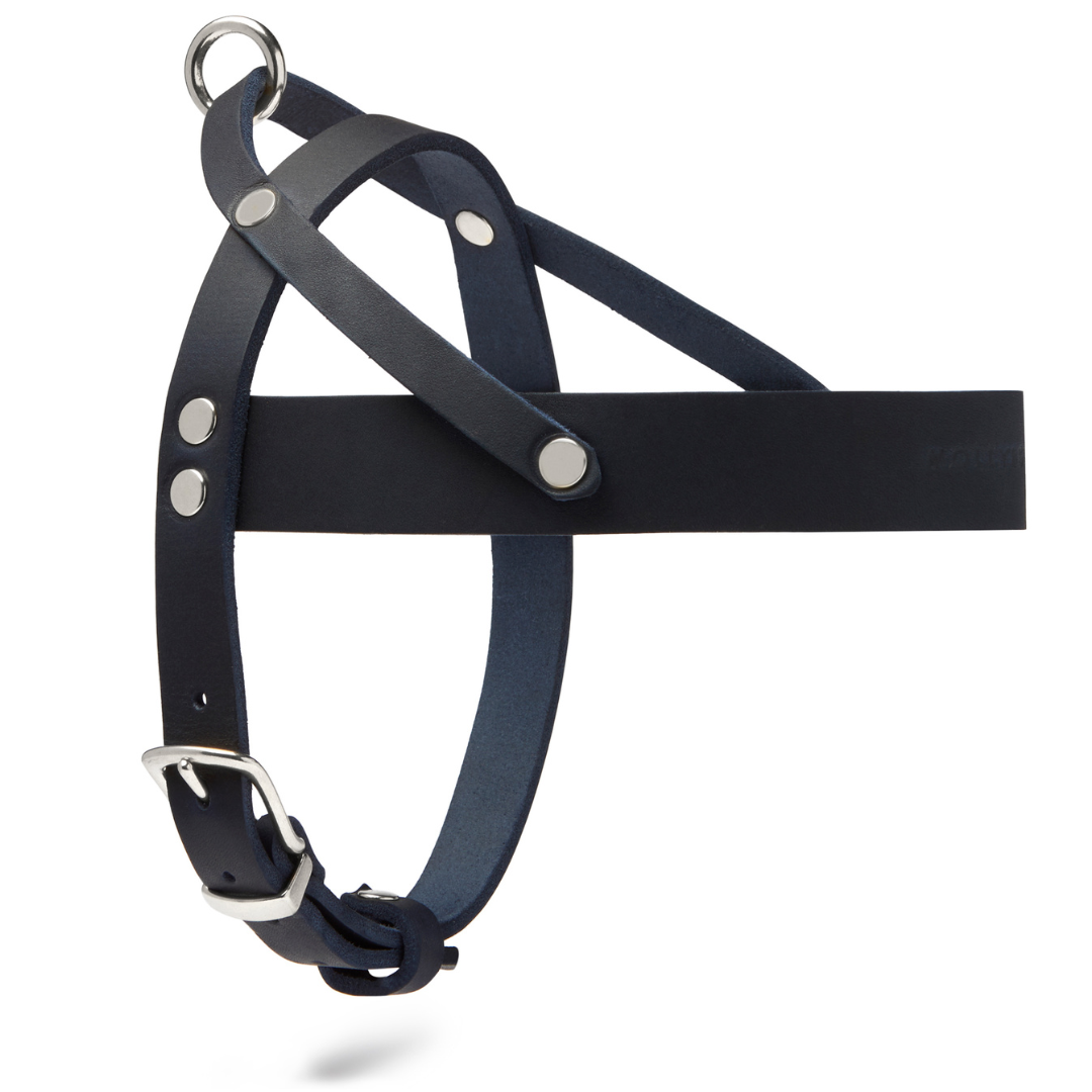 Butter Leather Dog Harness - Navy Blue by Molly And Stitch US