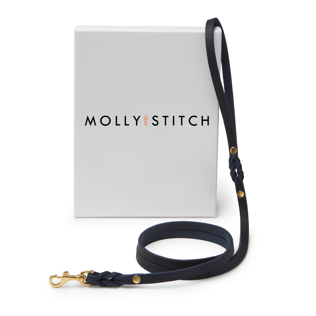 Butter Leather City Dog Leash - Navy Blue by Molly And Stitch US