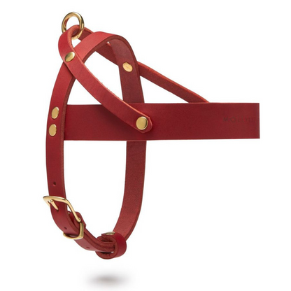 Butter Leather Dog Harness - Chili Red by Molly And Stitch US