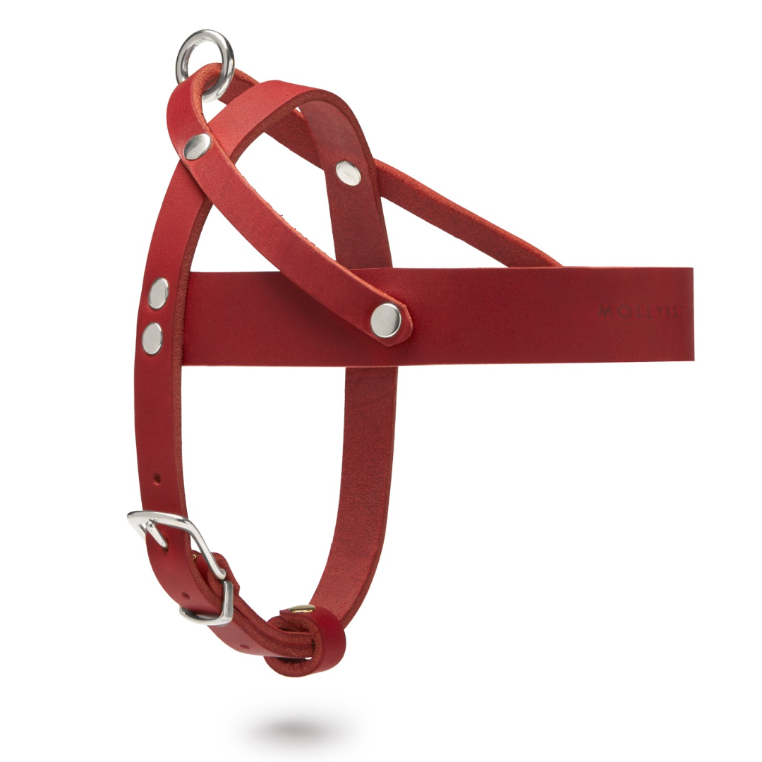Butter Leather Dog Harness - Chili Red by Molly And Stitch US