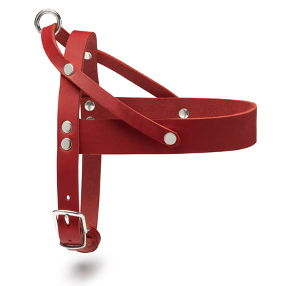 Butter Leather Dog Harness - Chili Red by Molly And Stitch US
