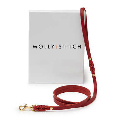 Butter Leather City Dog Leash - Chili Red by Molly And Stitch US