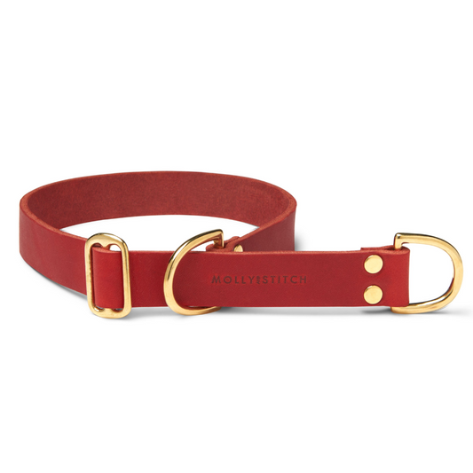 Butter Leather Retriever Dog Collar - Chili Red by Molly And Stitch US