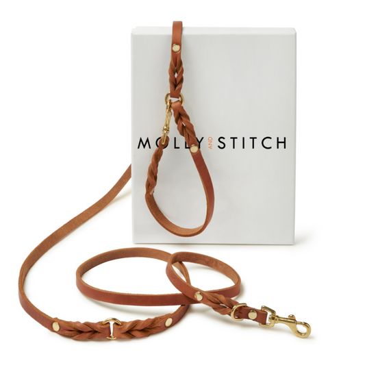 Butter Leather 3x Adjustable Dog Leash - Sahara Cognac by Molly And Stitch US