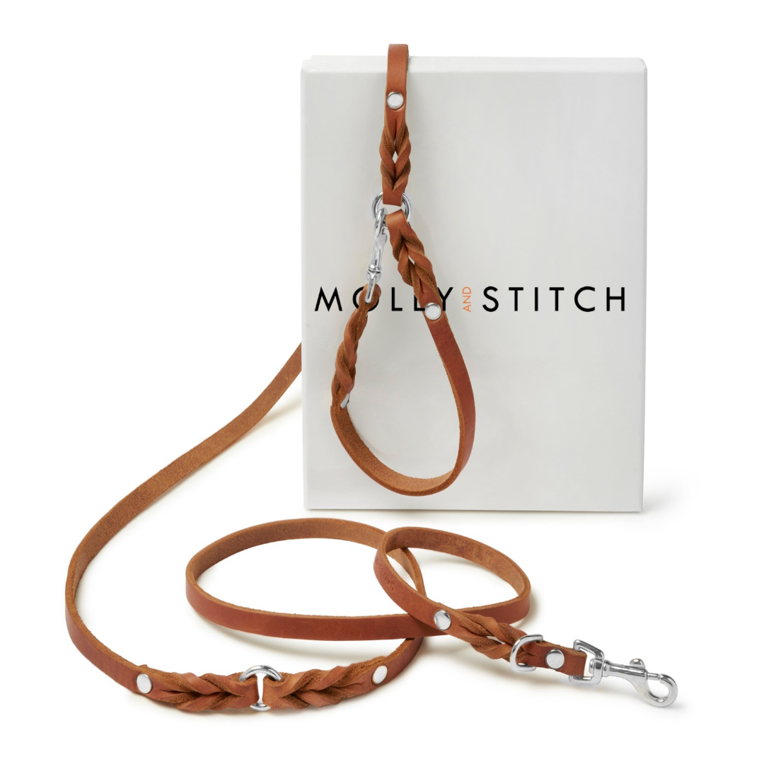 Butter Leather 3x Adjustable Dog Leash - Sahara Cognac by Molly And Stitch US