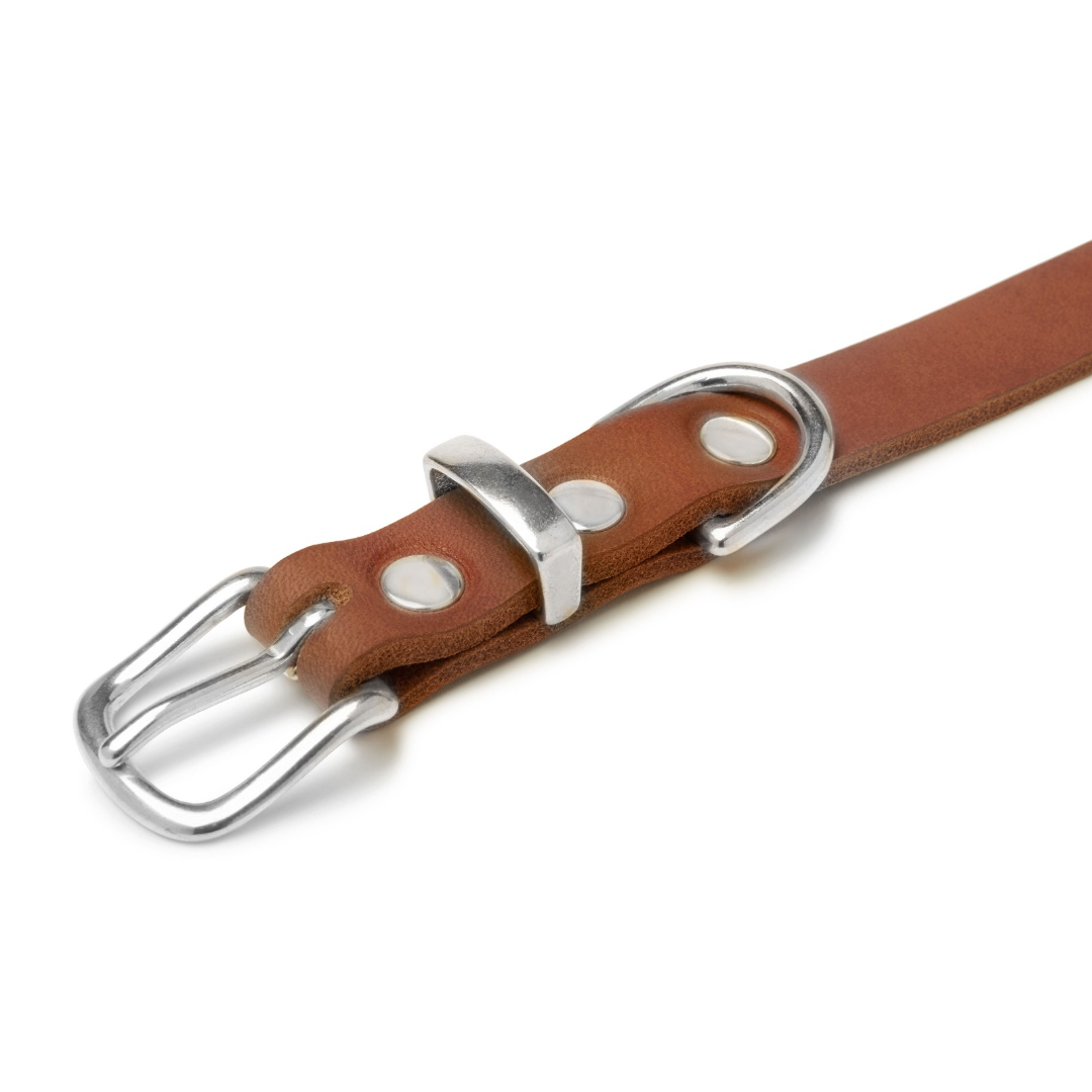 Butter Leather Dog Collar - Sahara Cognac by Molly And Stitch US