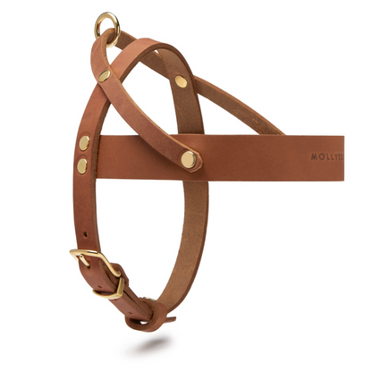 Butter Leather Dog Harness - Sahara Cognac by Molly And Stitch US