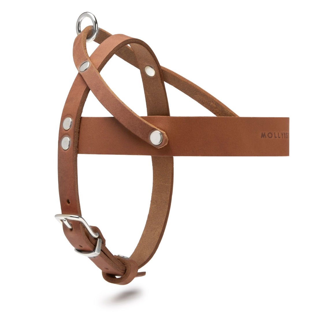 Butter Leather Dog Harness - Sahara Cognac by Molly And Stitch US