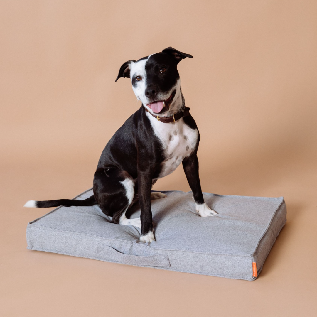 Alpine Dog Cushion - Grey by Molly And Stitch US